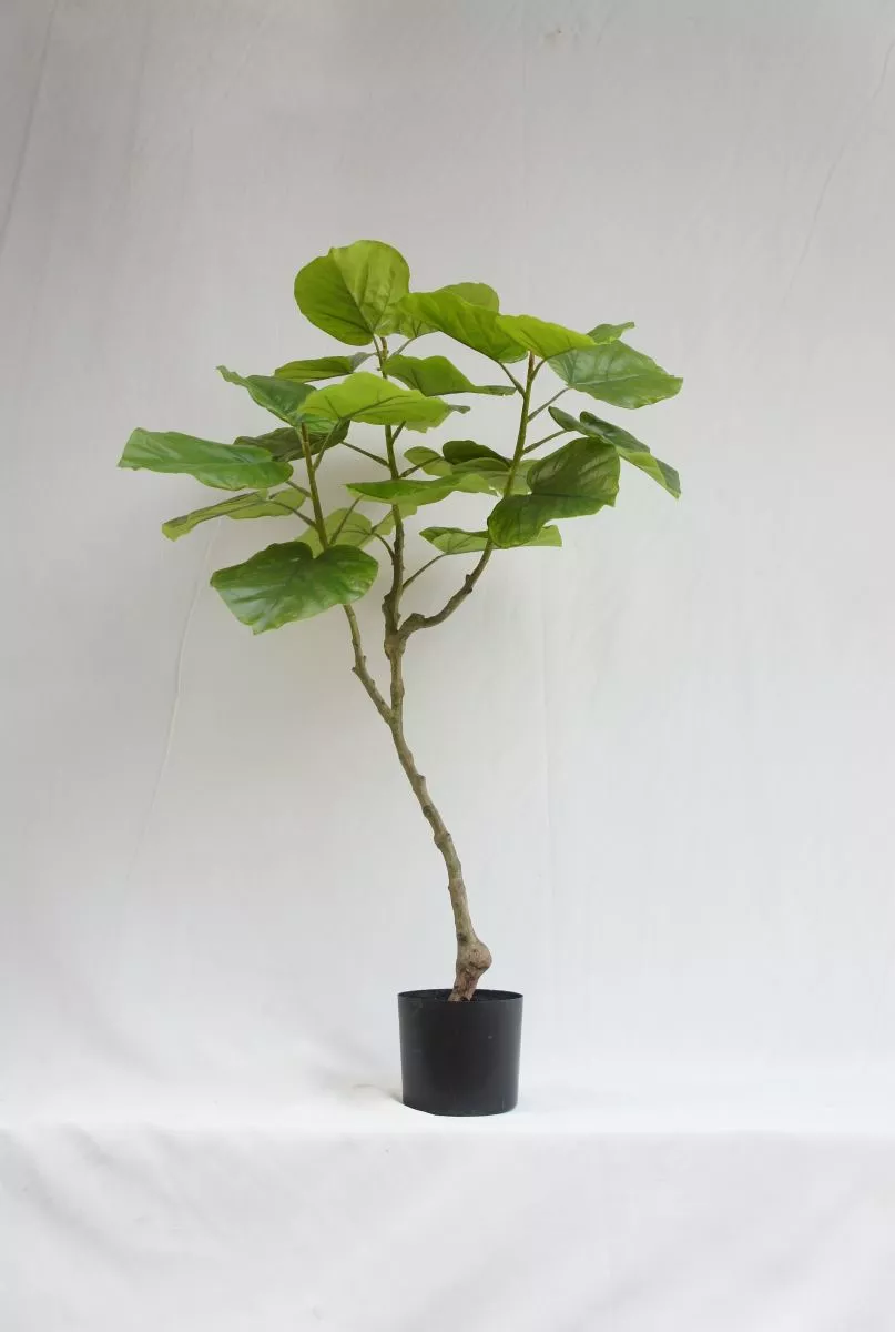 Artificial Newest Ficus Rumphii, 120 CM